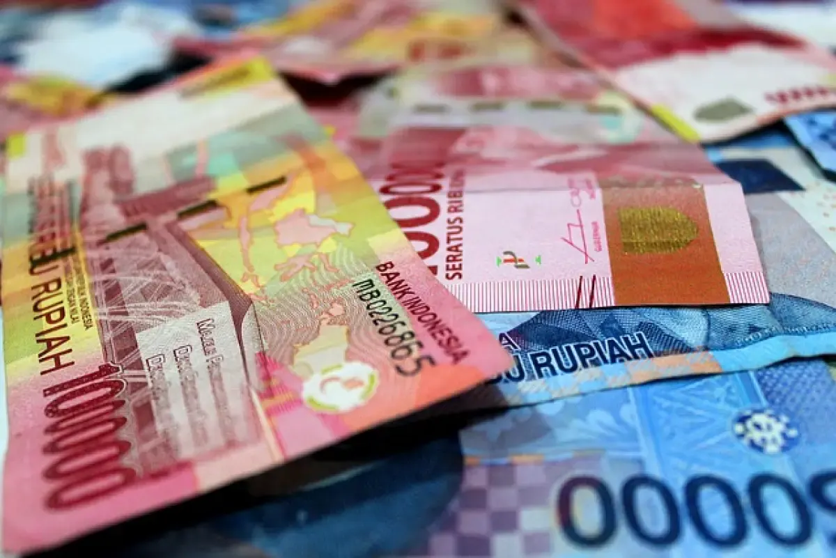 Ilustrasi THR PNS dan ASN 2023 (Sumber : Pixabay)