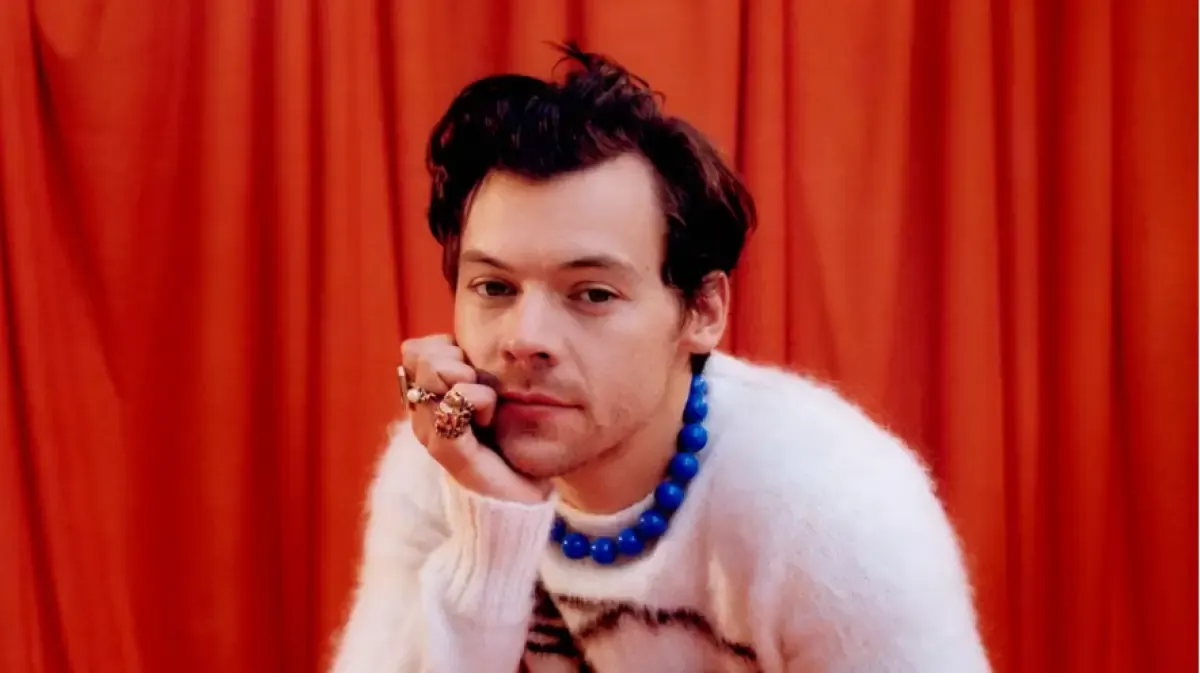Harry Styles (Sumber : YouTube)