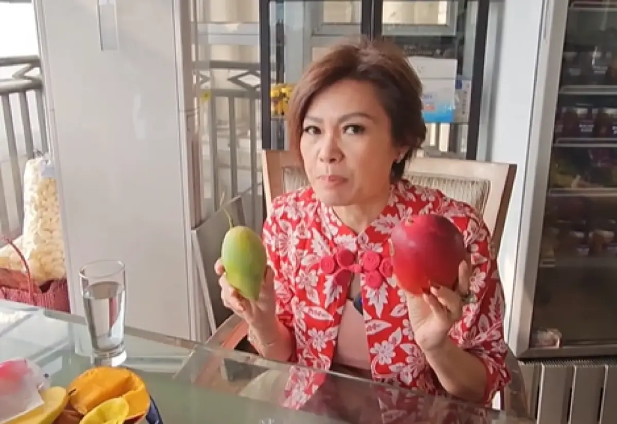 Tjioe Nofia Handayani atau yang dikenal dengan nama Ci Mehong mencalonkan diri sebagai anggota legislatif dari Partai Perindo di Pemilu 2024. (Sumber : Instagram @pikbakinghouse)