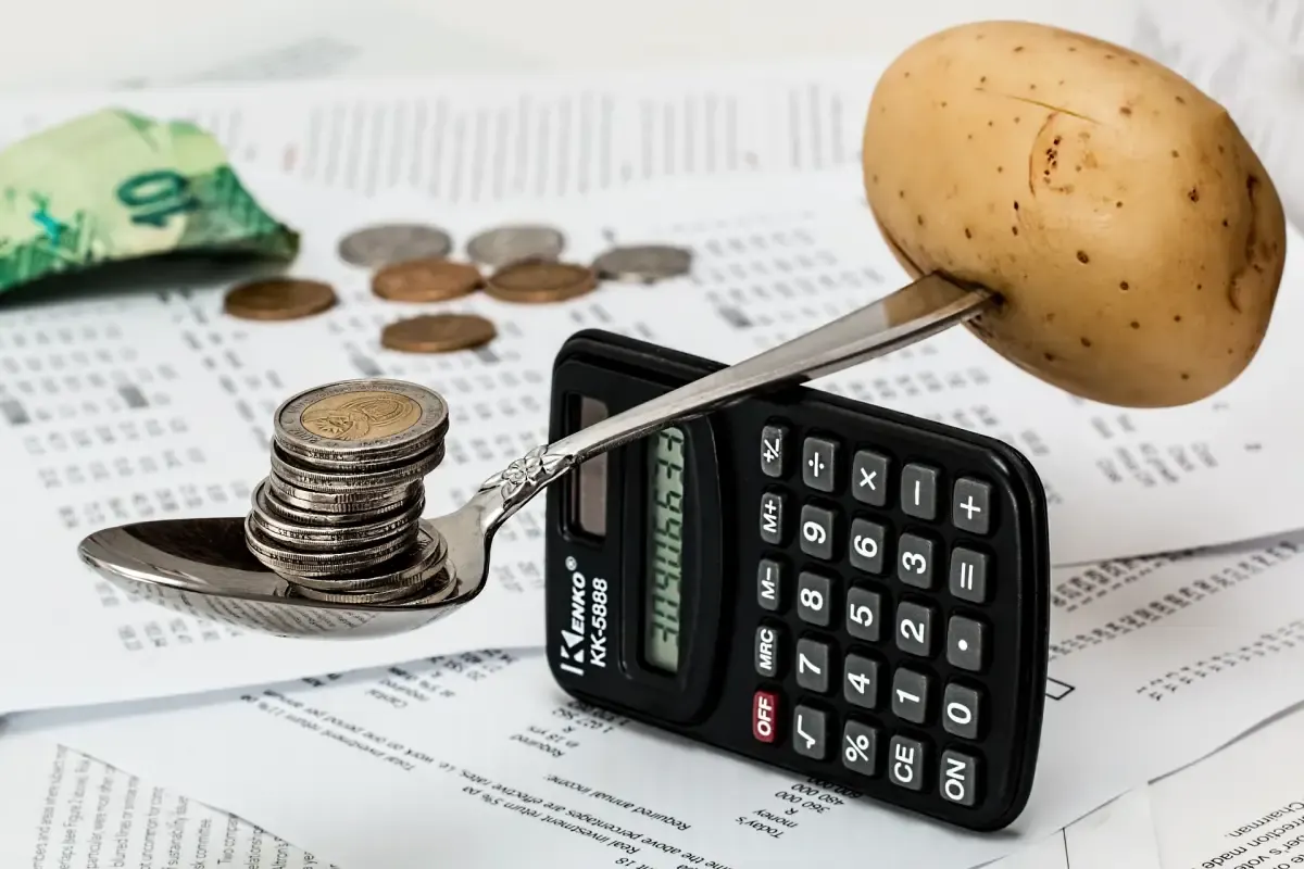 mengenal gaya hidup frugal living (Sumber : pixabay.com)