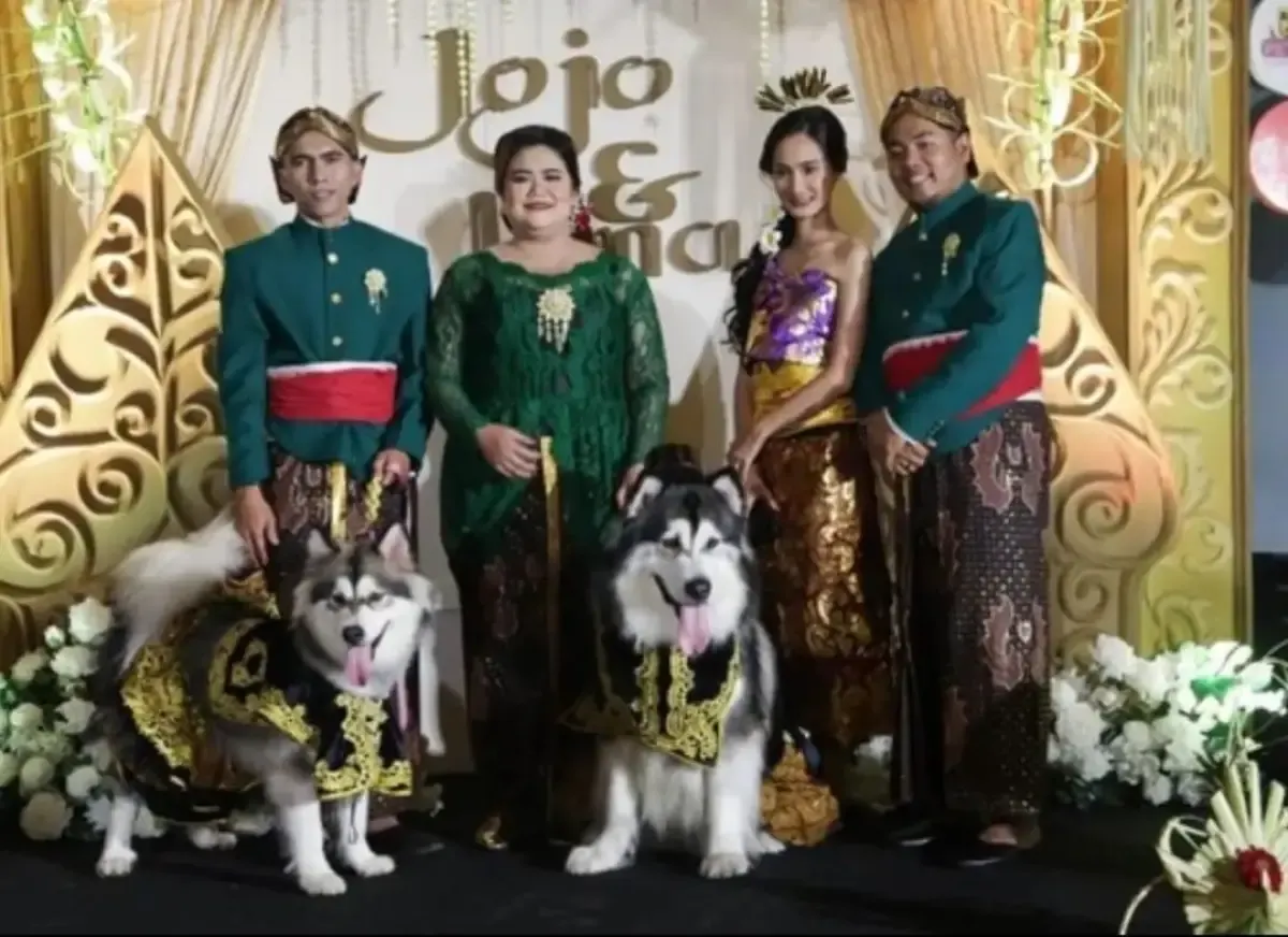 Pernikahan mewah anjing bernama Jojo dan Luna habiskan biaya hingga Rp200juta (Sumber : instagram.com/undercover.id)