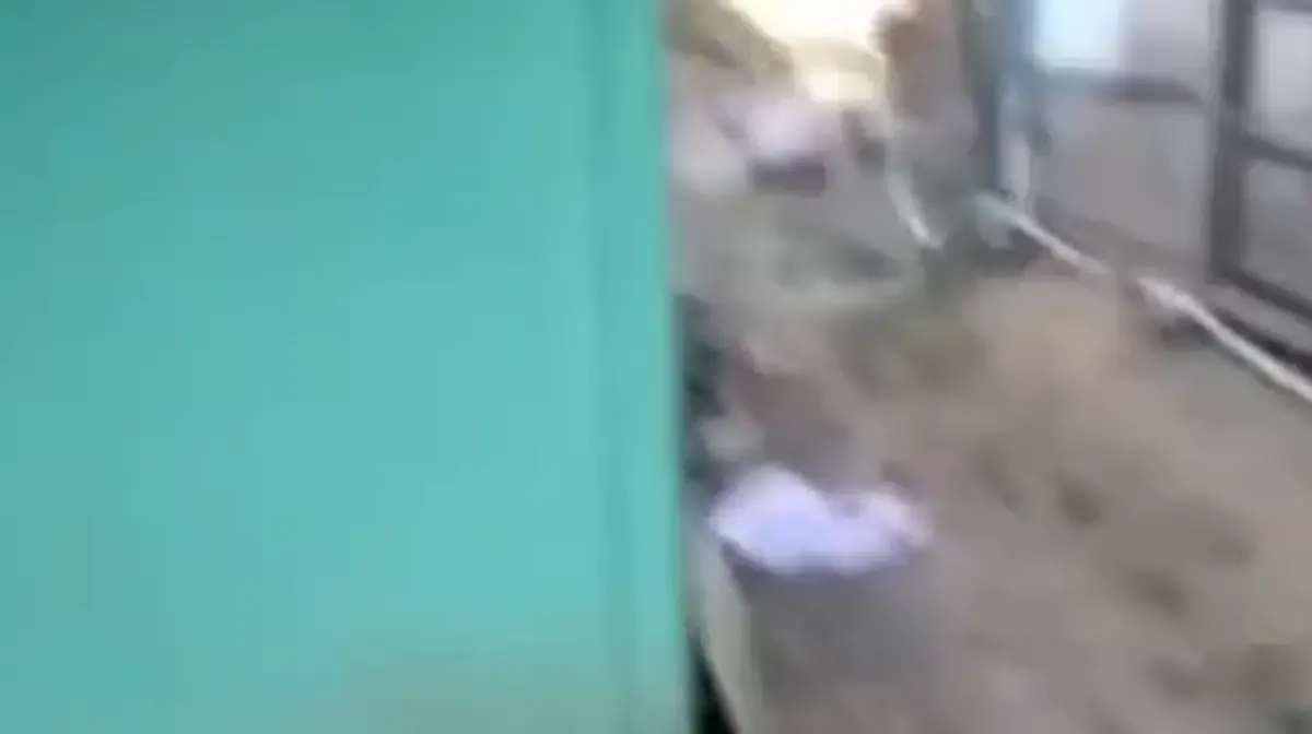 Warga geger temukan mayat bayi di samping rumah, lokasi di Genuksuran, Purwodadi, Grobogan, Minggu 30 Juli 2023. (Sumber : Instagram @storygrobogan)