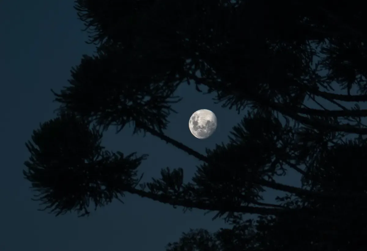 Tips memotret Supermoon yang akan terjadi nanti malam menggunakan kamera. (Sumber : Pexels/Felipe Gaioski)