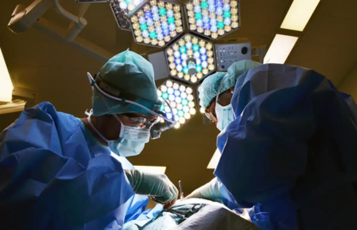 Mengeluh Sakit Diare, Dokter Temukan Parasit Ular Piton Hidup di Otak Wanita Ini (Sumber : Pixabay/Marionburn)