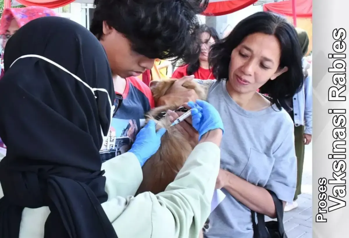Pemkot Semarang gelar vaksin rabies dan sterilisasi hewan gratis di peringatan Rabies Day 2023. (Sumber : instagram/dispertan_smg)
