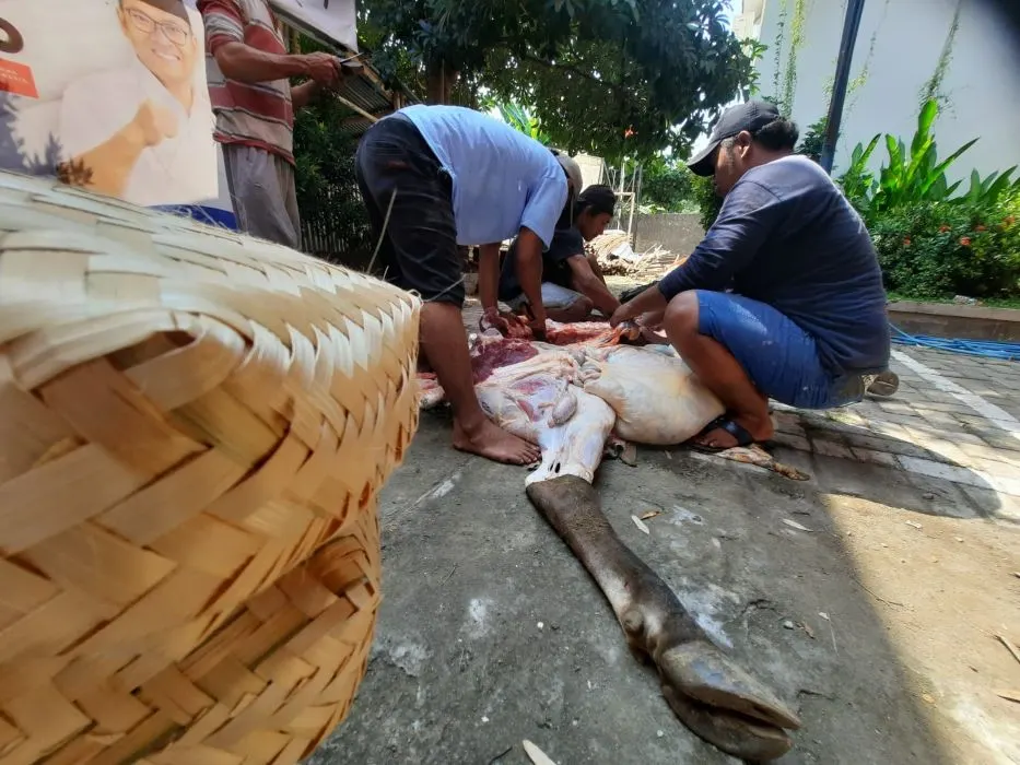 Penggunaan besek untuk pembagian daging kurban di Semarang. (Sumber:  | Foto: sakti)
