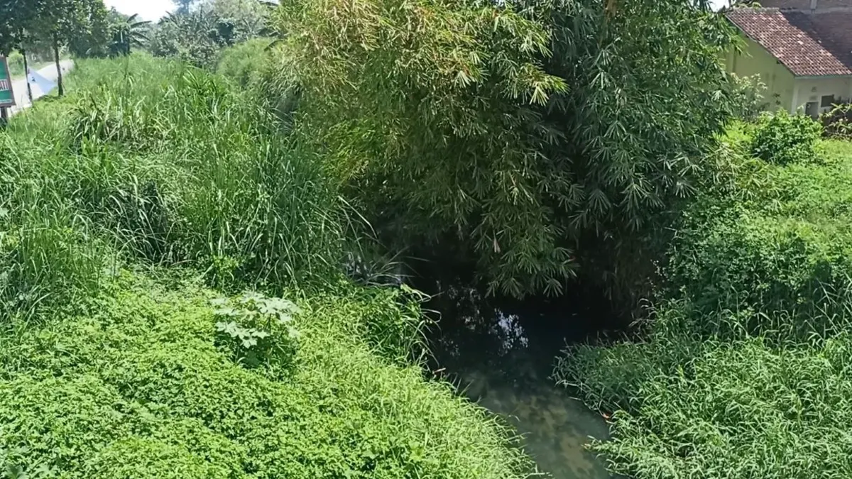 Sungai Plumbon, Kecamatan Tugu, Kota Semarang. (Sumber:  | Foto: Sakti)
