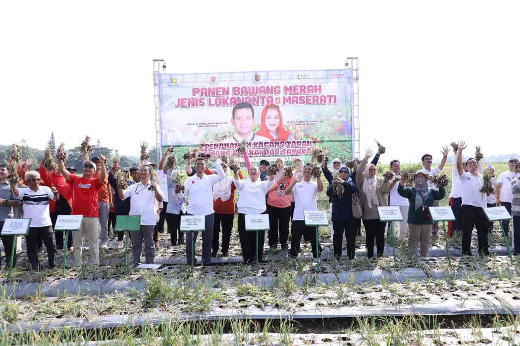 Wali Kota Semarang, Hevearita Gunaryanti Rahayu panen bawang merah hasil kolaborasi BRIN.  (Sumber:  | Foto: Sakti)