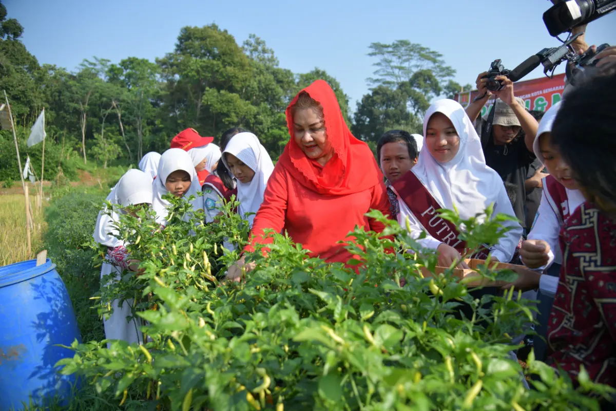 Aktivitas pertanian di Kota Semarang. (Sumber:  | Foto: Sakti)