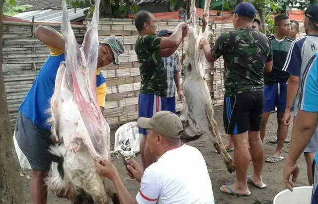 Batas Waktu Penyembelihan Hewan Kurban, Bolehkah Dilaksanakan Setelah Hari Raya Idul Adha?