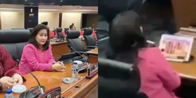 DPD PDI Perjuangan DKI Jakarta Pecat Cinta Mega dan Larang Maju Pemilu 2024, Buntut Bermain Game Saat Rapat