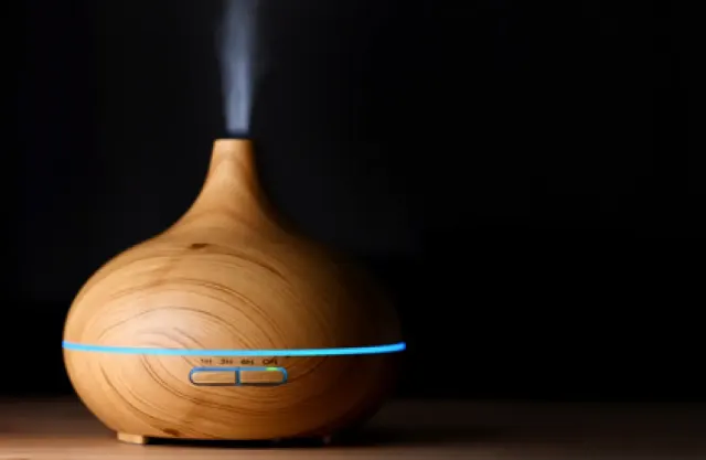 Serupa Tapi Tak Sama, Apa Bedanya Humidifier dengan Dehumidifier?