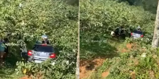 Diduga Sopir Masih Belajar Menyetir, Beredar Video Mobil Masuk Jurang di Kendal