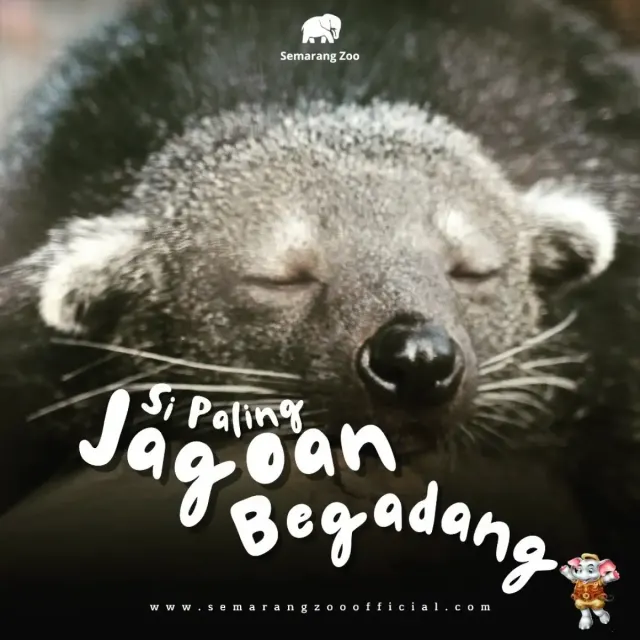 10 Rekomendasi Wisata Semarang di Akhir Pekan Murah nan Asyik, Semuanya Taman!