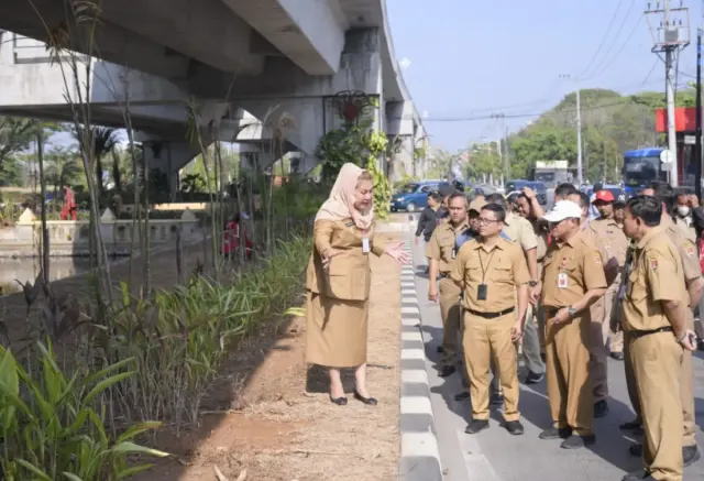 Mbak Ita Minta Dinas Tidak Cuma Jago Bikin Anggaran Taman, Tapi Juga Pemeliharaannya, Banyak Tanaman Mati Kurang Air!