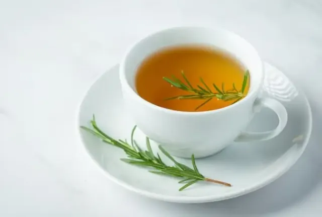 Minum Teh Setiap Hari Bisa Jaga Berat Badan dan Sehatkan Jantung? Berikut Segundang Manfaat Lainnya yang Wajib Diketahui