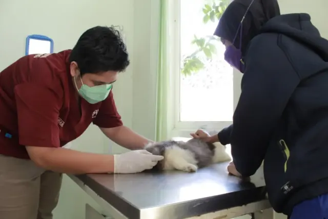 Klinik Hewan Gratis di Kota Semarang, Periksa Binatang Piaraan di Puskesmas Mijen