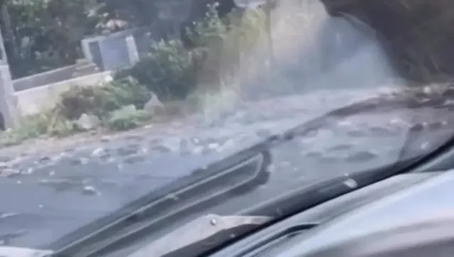 Ratusan Lele Tumpah, Berceceran Penuhi Jalan di Penggung Gunungpati