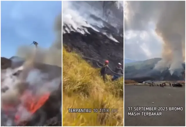 Api di Gunung Bromo Belum Padam, 274 Hektar Lebih Lahan Terbakar Akibat Flare Prewedding