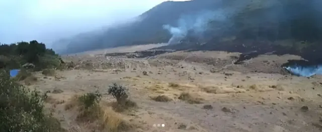 Lahan Bunga Abadi Edelweiss Terancam, Kondisi Alun-alun Suryakencana Terbakar Jadi Penyebab