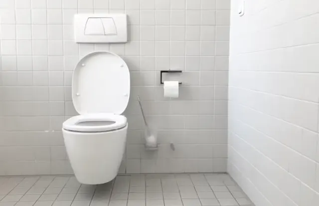 Bahaya Main HP sambil BAB di Toilet, Ternyata Berpotensi Sebabkan Penyakit Ini