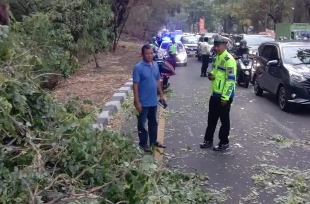 Pohon Tumbang di Tanjakan Gombel Timpa Mobil dan Motor, 1 Orang Alami Luka