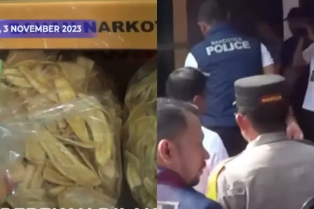 Pabrik Keripik Pisang Narkoba di Bantul Bikin Publik Geger, Produk Ditawarkan Lewat Media Sosial