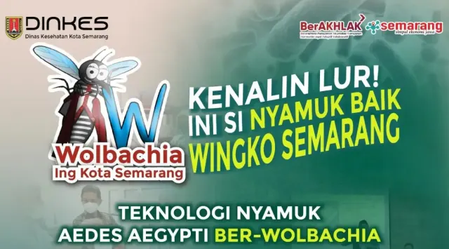 Kenali Nyamuk Wolbachia, Disebut Aman Bisa Lumpuhkan DBD dan Chikungunya