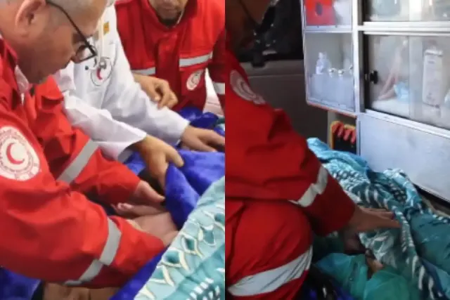Bikin Dirjen WHO Bangga, Begini Detik-detik Relawan Palestina Pindahkan 28 Bayi Prematur Gaza ke Mesir