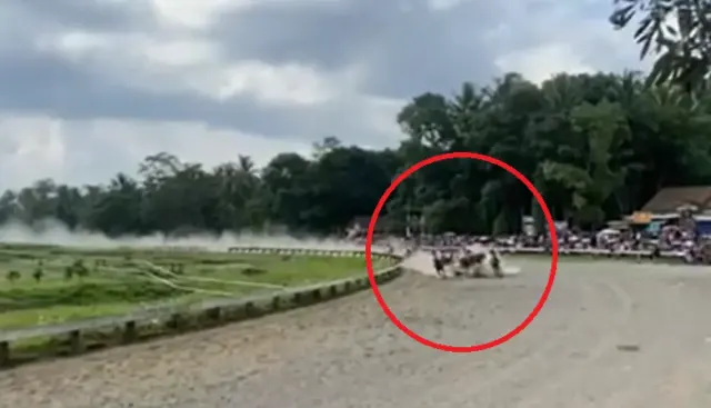Insiden Kuda Patah Kaki saat Lomba Balap di Semarang: Kuda Berakhir Disuntik Mati