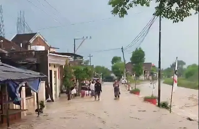 Banjir Luapan Sungai Tuntang: Jalan Semarang-Purwodadi Lumpuh Total, 10 Kecamatan Terendam