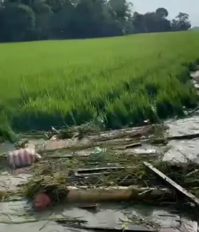 Sungai Tuntang Meluap, Hektaran Sawah di Palingwetan Terancam Gagal Panen