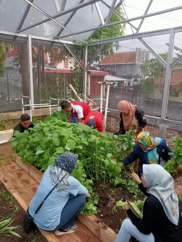 Pemkot Semarang Maksimalkan Lahan Tidur untuk Urban Farming