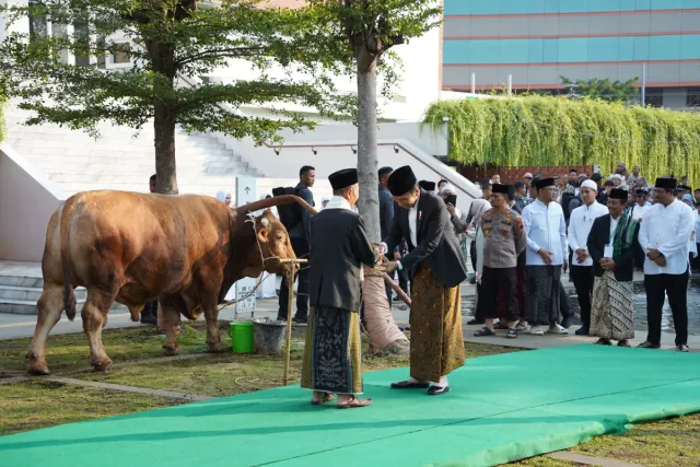 Presiden Jokowi Salat Idul Adha dan Serahkan Sapi Seberat 1,25 Ton di Semarang