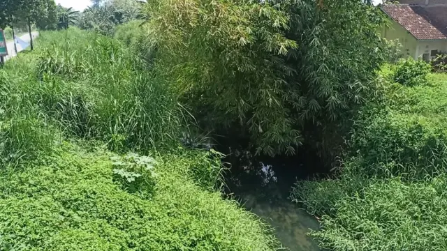 Pemkot Semarang Pastikan Pembebasan Lahan Normalisasi Sungai Plumbon Dimulai Desember
